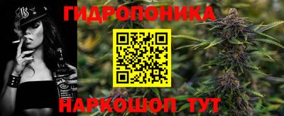 спайс Гай