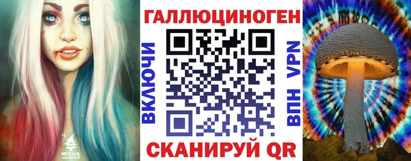 Псилоцибиновые грибы Cubensis  mega tor  Прокопьевск 