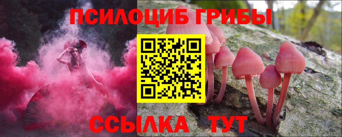 Прокопьевск  Псилоцибиновые грибы Cubensis  Вход с VPN 
