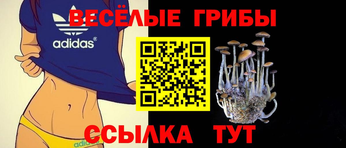 Галлюциногенные грибы мухоморы Прокопьевск